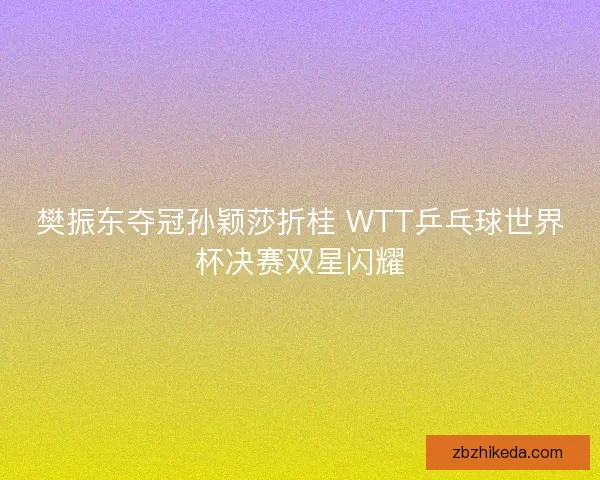 樊振东夺冠孙颖莎折桂 WTT乒乓球世界杯决赛双星闪耀